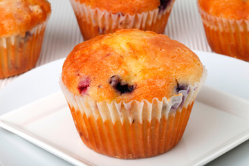BLUEBERRY MUFFIN CLOSE UP FOOD IMAGE