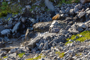 water running over rocky soil in volcanic landscape