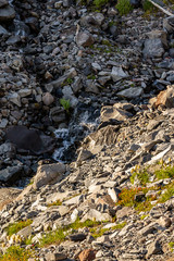 water running over rocky soil in volcanic landscape near rainier