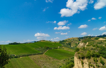 Paesaggio visto da Offida