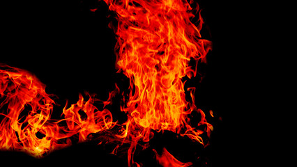 Fototapeta na wymiar Fire flames on Abstract black background, Burning red hot sparks rise from large fire in, Fiery orange glowing