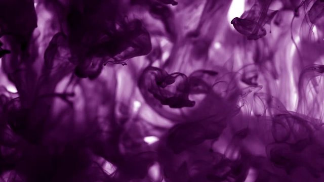 Beautiful background. Purple dye in water. Colored dark violet ink dropped into water. Lovely bright metamorphosis. Cuttlefish ink splatter. Volume effect. Slow motion