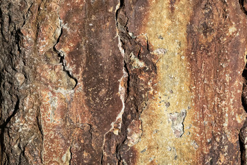 Color bright texture of the destroyed concrete with the appearing rust and the cracks in grunge