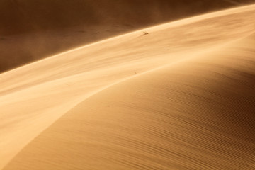 beautiful light and shadow on the dune  in desert in Morocco
