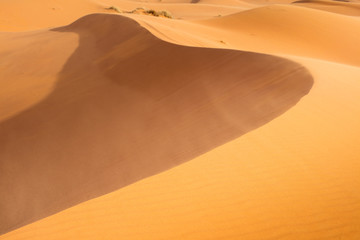 Fototapeta na wymiar dune in light and shadows in desert in Morocco