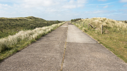 Fototapeta premium Weg durch die Dünen der Waterleidingduinen in der Nähe von Zandvoort und Amsterdam, Niederlande
