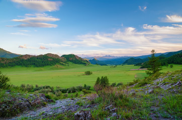 Fototapeta na wymiar Alpine valley in the mountains of Altai