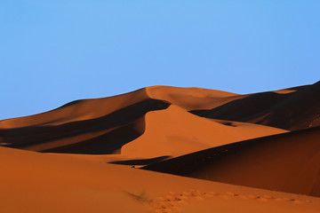 Naklejka na ściany i meble Moroccan Sahara sand dunes and shadows at sunset