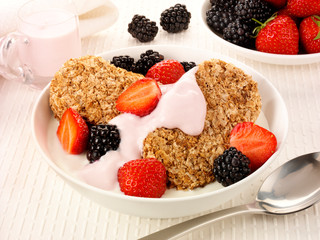 BREAKFAST CEREAL  
