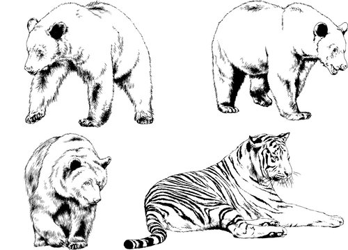 set of vector drawings of various animals, hand-drawn ink