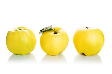 Fresh quinces isolated on white background