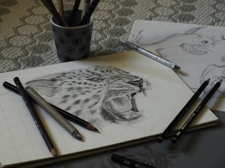 dessin graphite