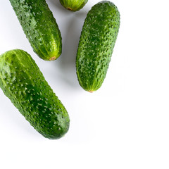 Fresh cucumbers isolated on white background