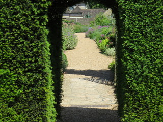 Garden Through Hedge