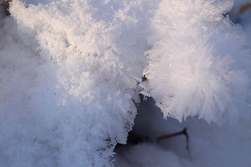 frosty morning