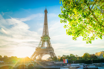 Obraz premium eiffel tour and from Trocadero, Paris
