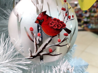 red bird on a branch with red berries