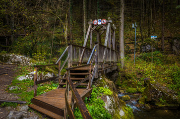 Fototapeta na wymiar Wooden bridge near cascade falls over mossy rocks at Myrafalle, near Muggendorf in Lower Austria