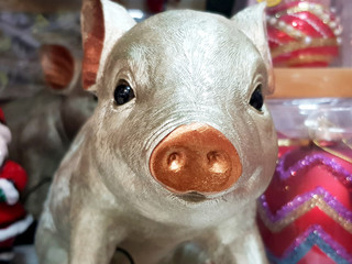 toy pig