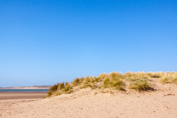 sand dunes at Instow beach, Devon, UK