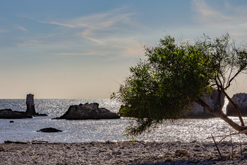 Fototapeta premium The sea in winter