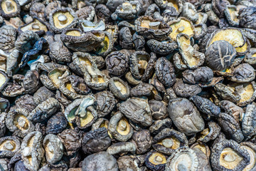 Chinese Shiitake Mushrooms