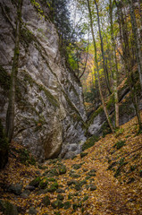 Narrow rocky valley with big stone wall in the colorful autumn forest, Steinwandklamm, lower Austria