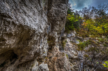 Metal ladder on via ferrata route Rudolf Decker Steig in Steinwandklamm, lower Austria