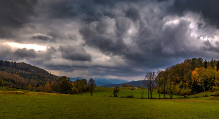 Green alpine meadow with colorful fallen leaves, autumn forest   and dramatic cloudy sky, near Steinwandklamm, Muggendorf, lower Austrian