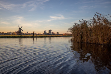 Row of windmills on the horizon in the background reflecting in the irrigation ditch with cane on the side with rippled water with the orange of the sunset in a blue sky