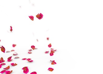 Rose petals fall to the floor