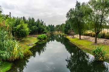 China Shanghai Botanical Garden 18