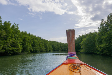 Cruising tropical mangrove forest in summer in Thailand along coastal in Phangnga Bay national park, for environment, relaxation, travel, journey, season and climate change concept