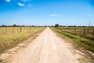 Country dirt road runs between farmlands under sunny deep blue sky on a winter day, near Filadelfia, in Deutsch mennonite colony Fernheim, Gran Chaco, Paraguay - obrazy, fototapety, plakaty