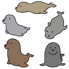 vector set of sea lion