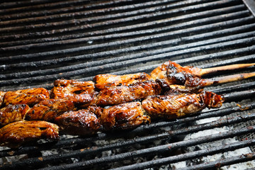 Grilled Meat on Stick on Streets of Mexico City