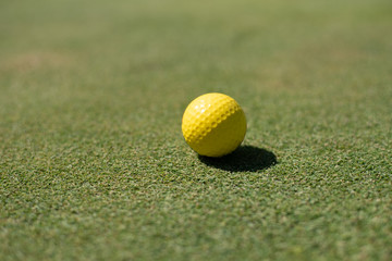Golf field with yellow ball