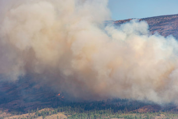 Smoke from a forest fire near Pearchland British Columbia Canada