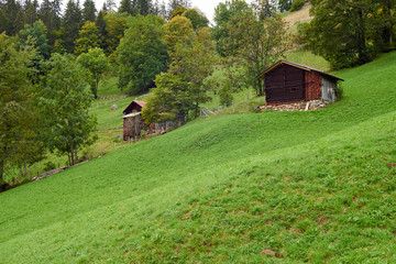 View of the old style wooden barn on the mountain slopes in Wengen village in Lauterbrunnen region in Switzerland.