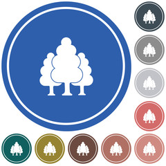 Deciduous forest icon