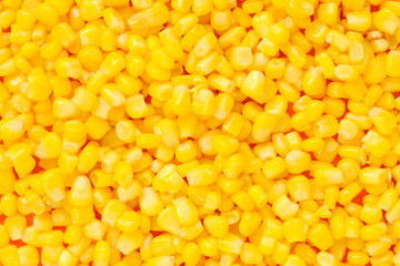 background of corn