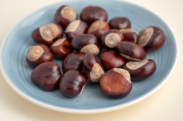 Group of fresh chestnuts on blue table, nuts one by one spread on light dish