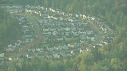 Seattle Washington Homes from the Air