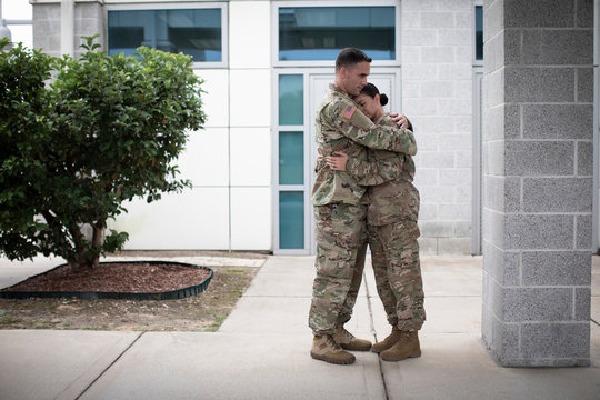 DIE 50,550 BESTEN BILDER, STOCK-FOTOS UND -VEKTORGRAFIKEN ZU „Flecktarn ...