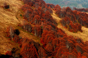 Góry Karpaty