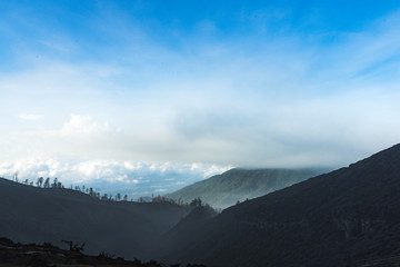Misty landscape forest on mountain