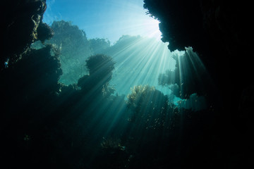 Sunlight Falls Into a Dark Crevice in a Coral Reef