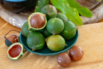 New harvest of ripe fresh Australian macadamia nuts in shell with leaves