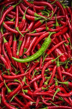 Bunch of small hot chili peppers