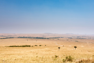 Obraz na płótnie Canvas View across the Maasai Mara savannah from hill viewpoint, Kenya
